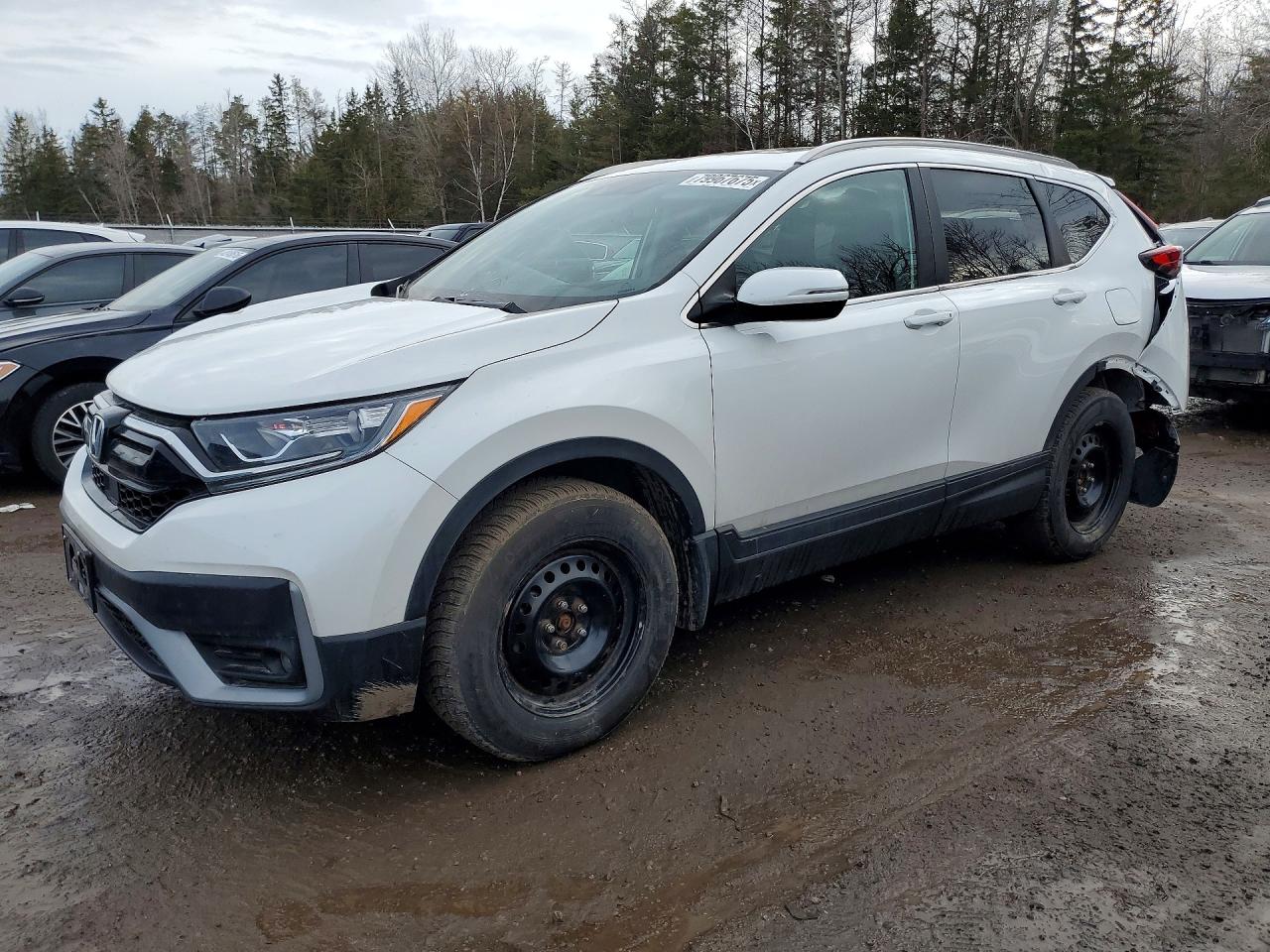 2020 HONDA CR-V