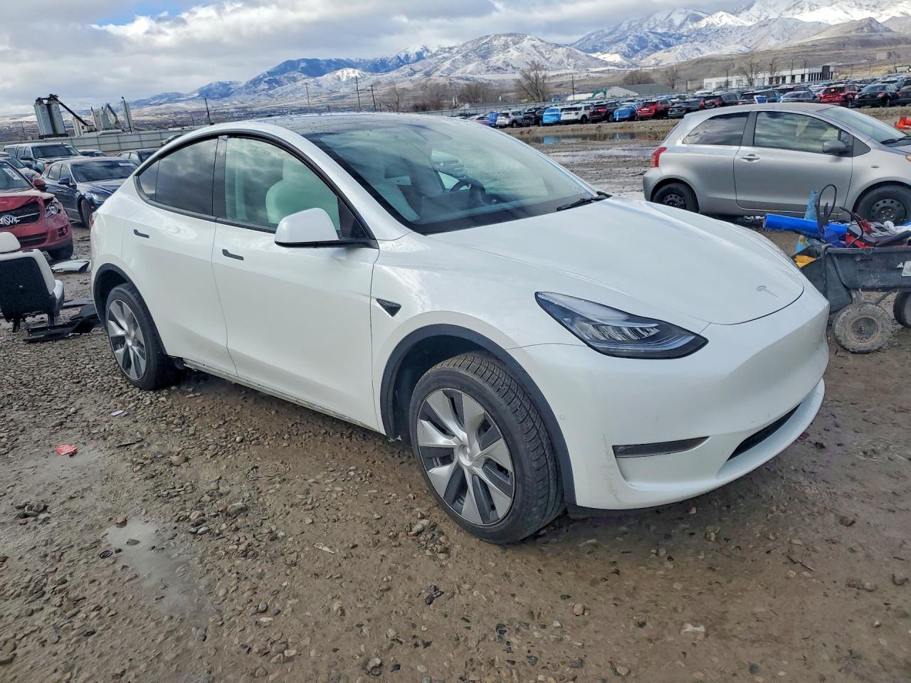 2021 TESLA MODEL Y photo 4