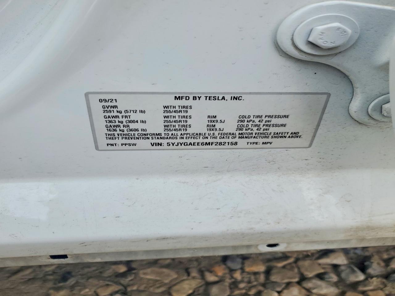 2021 TESLA MODEL Y photo 13
