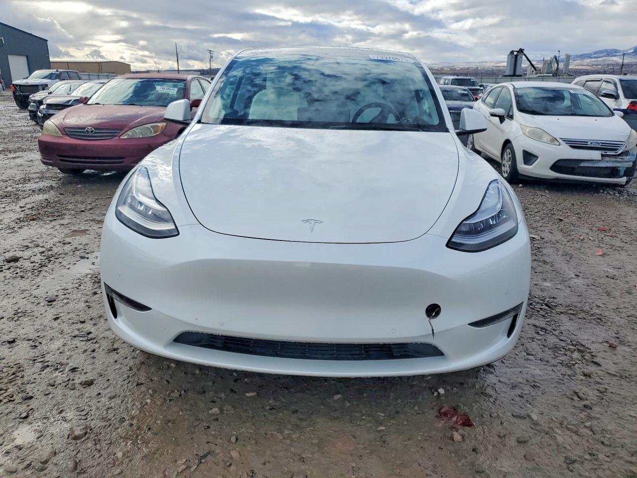 2021 TESLA MODEL Y photo 5