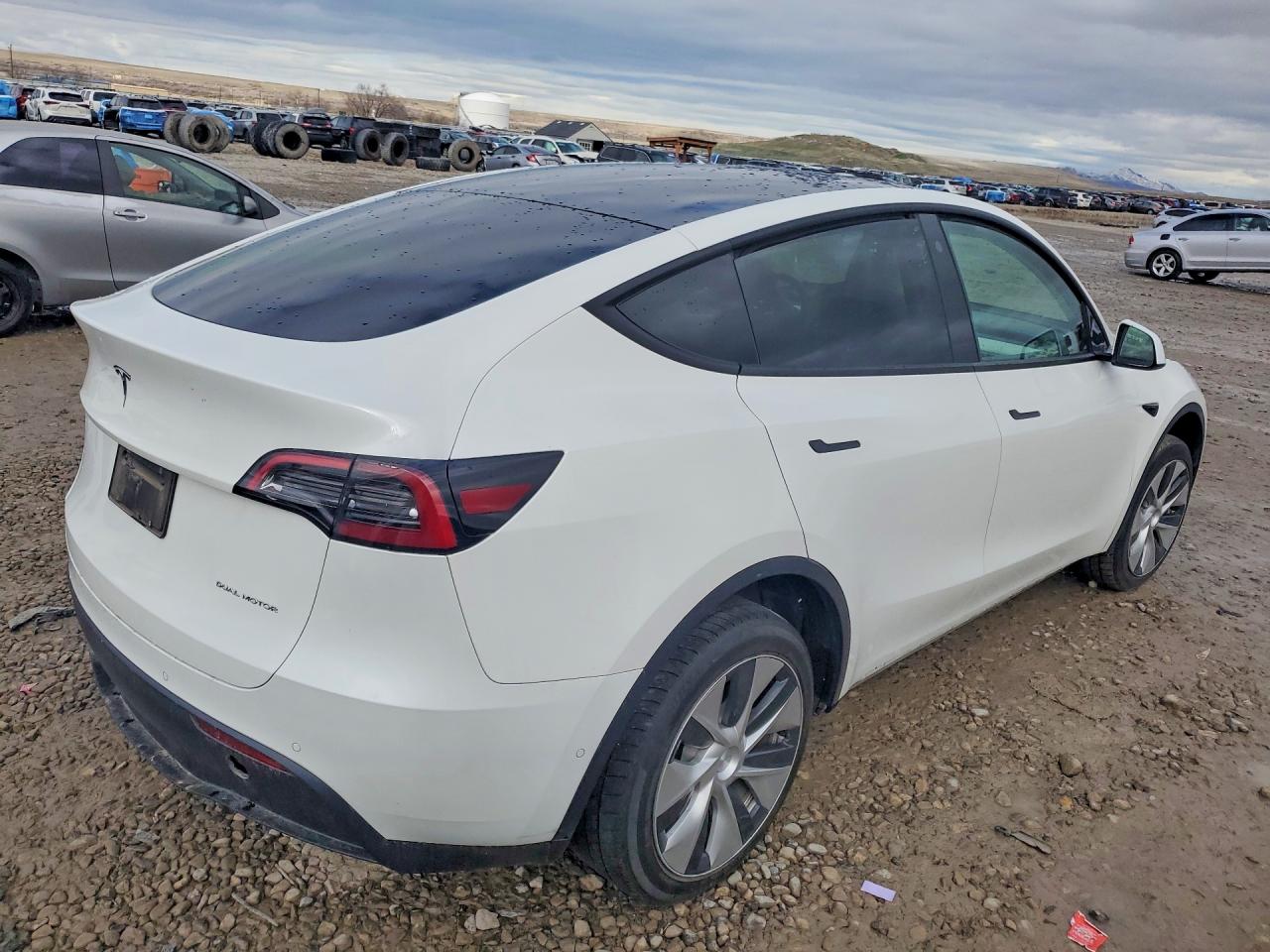 2021 TESLA MODEL Y photo 3