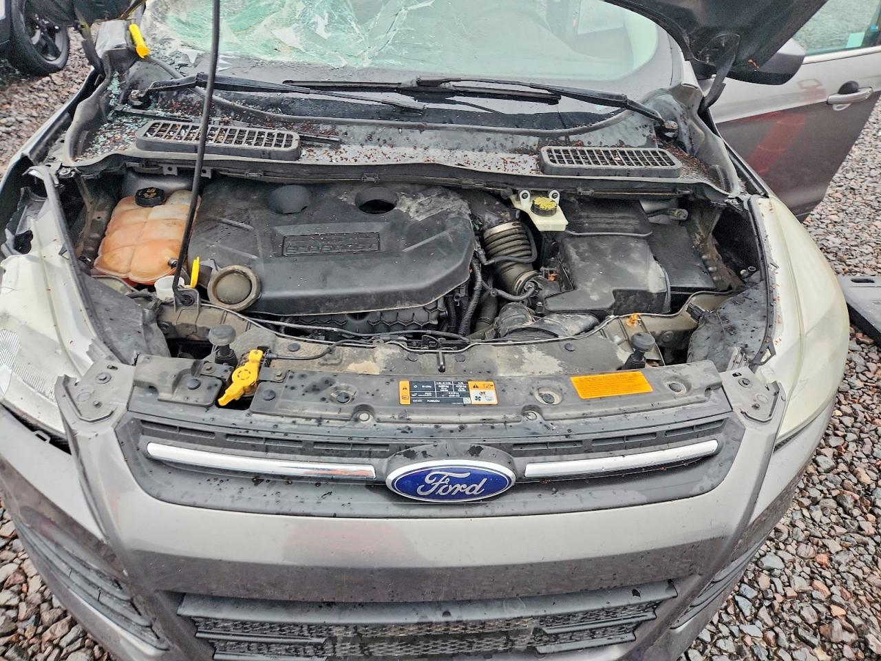 2014 FORD ESCAPE SE photo 11