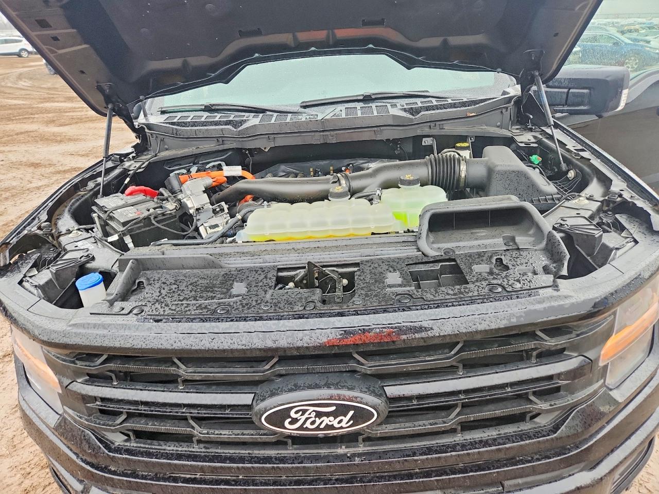 2024 FORD F150 XLT photo 11