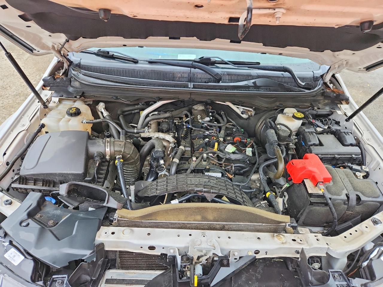 2019 FORD RANGER XL photo 21