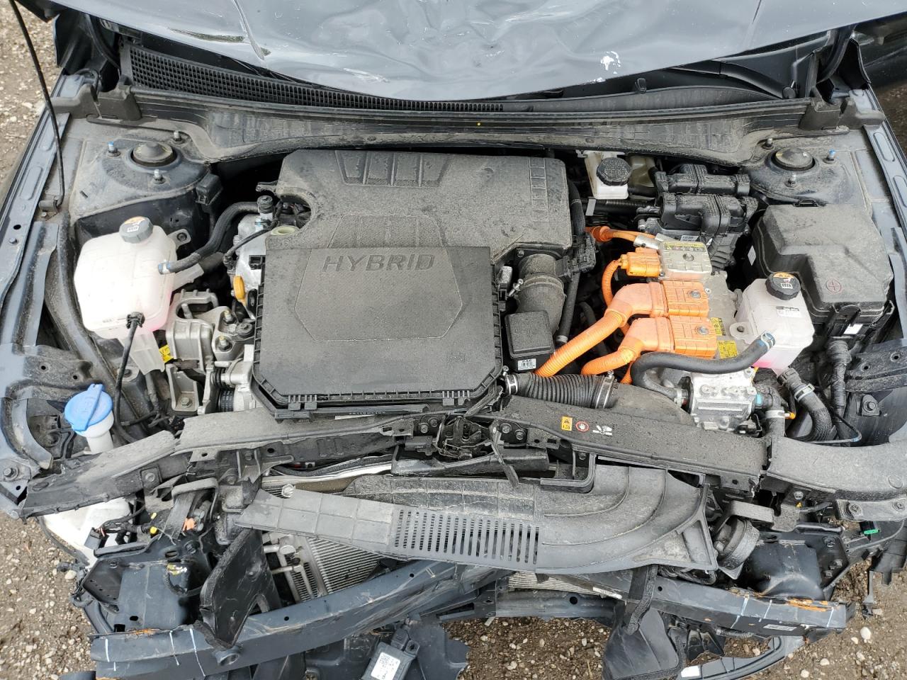 2025 HYUNDAI ELANTRA LIMITED photo 11