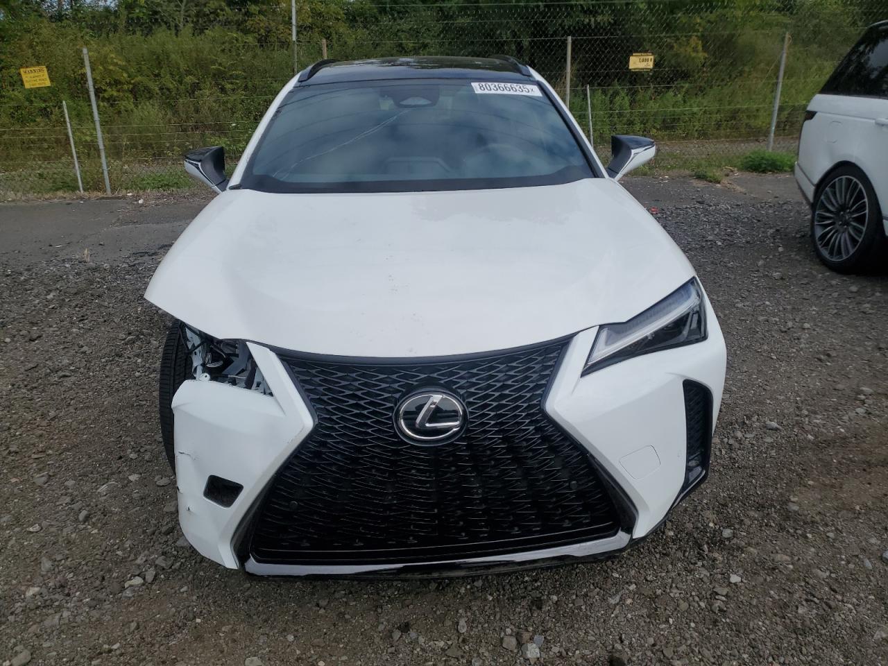 2025 LEXUS UX photo 5