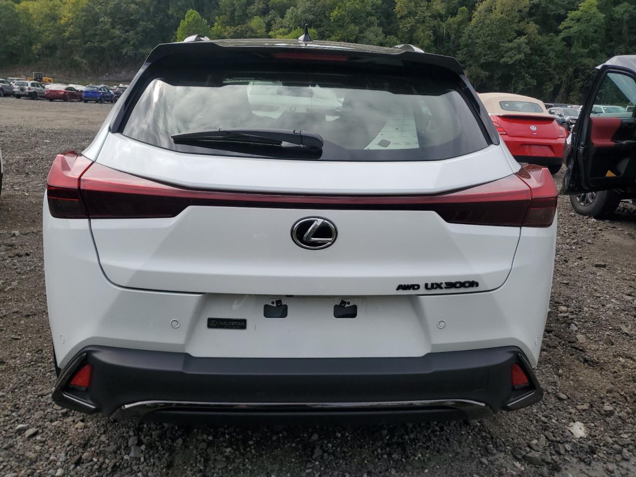 2025 LEXUS UX photo 6
