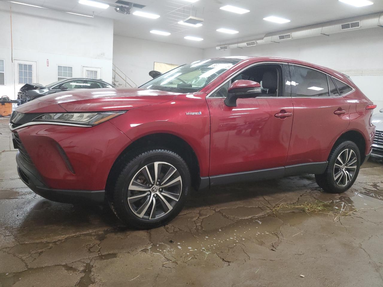 2021 TOYOTA VENZA