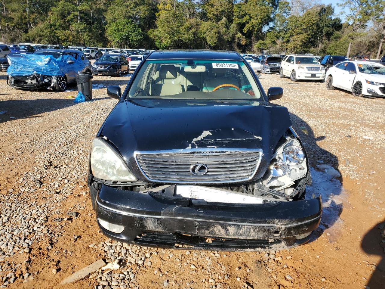 2003 LEXUS LS 430 photo 13
