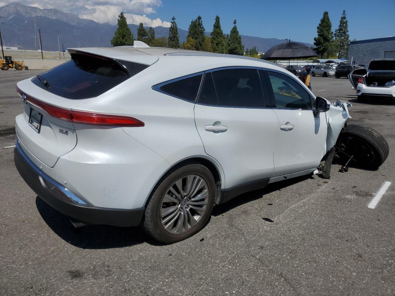 2023 TOYOTA VENZA XLE photo 3