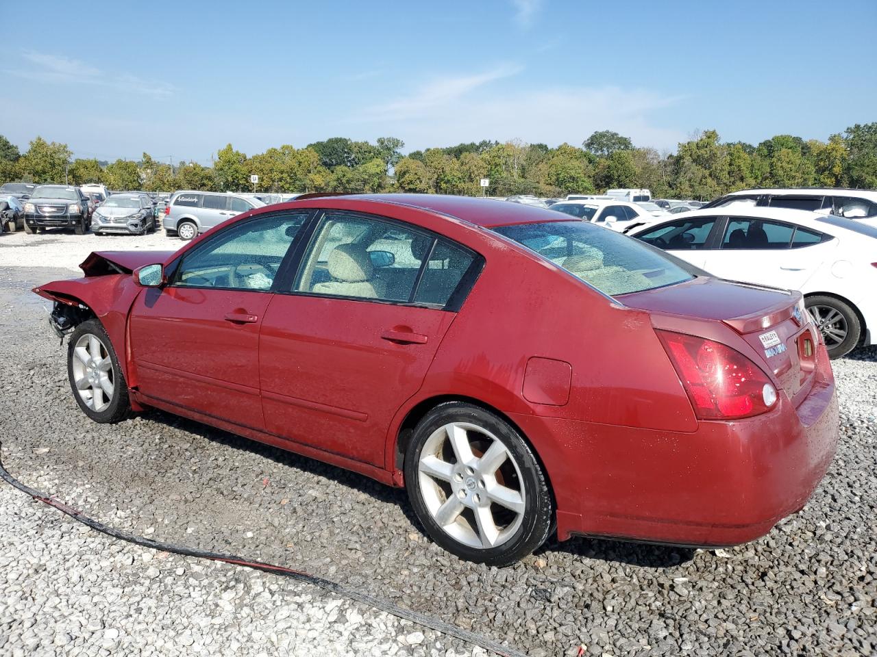 2005 NISSAN MAXIMA 3.5 SE photo 3