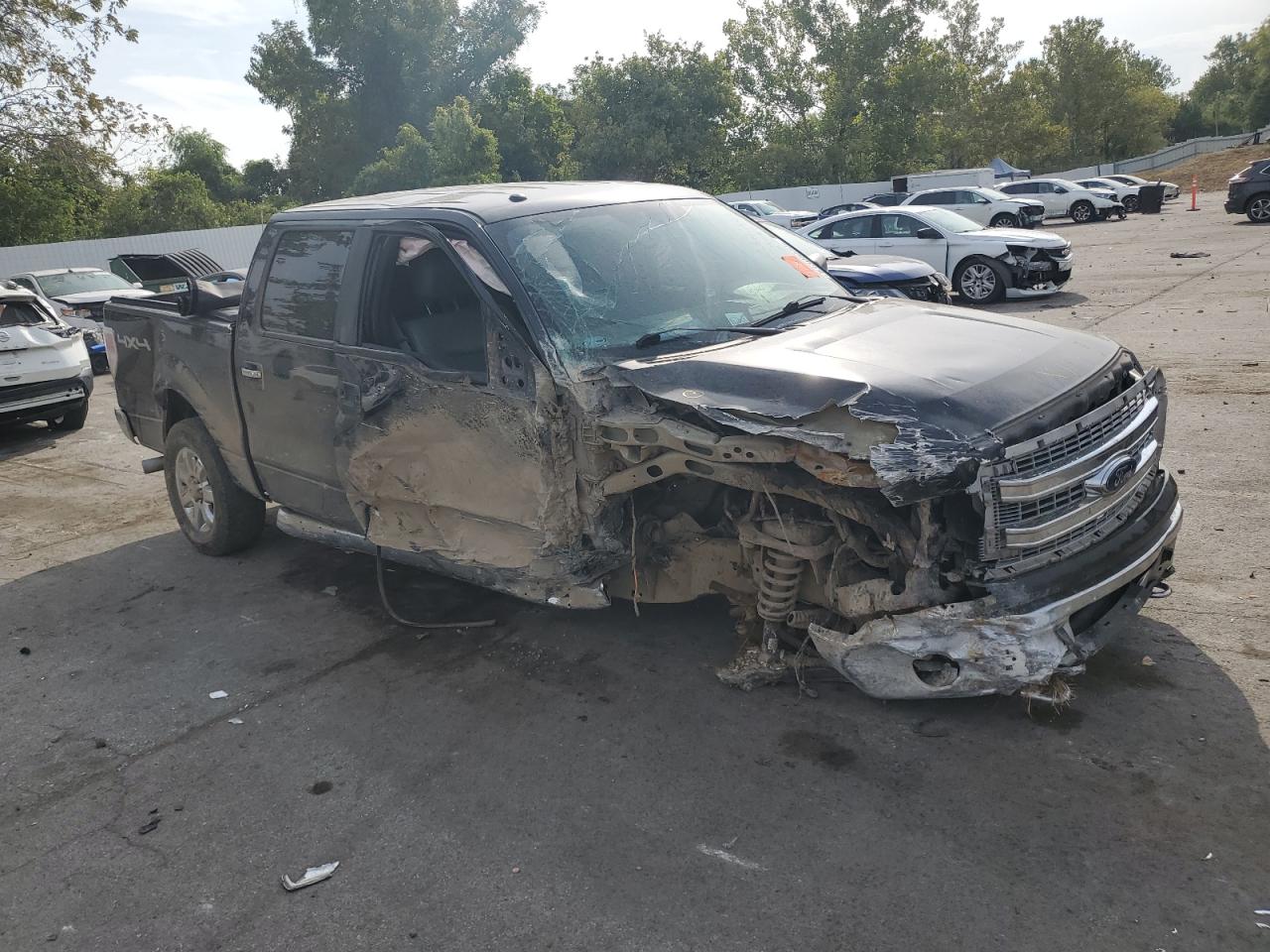 2014 FORD F150 SUPERCREW photo 10
