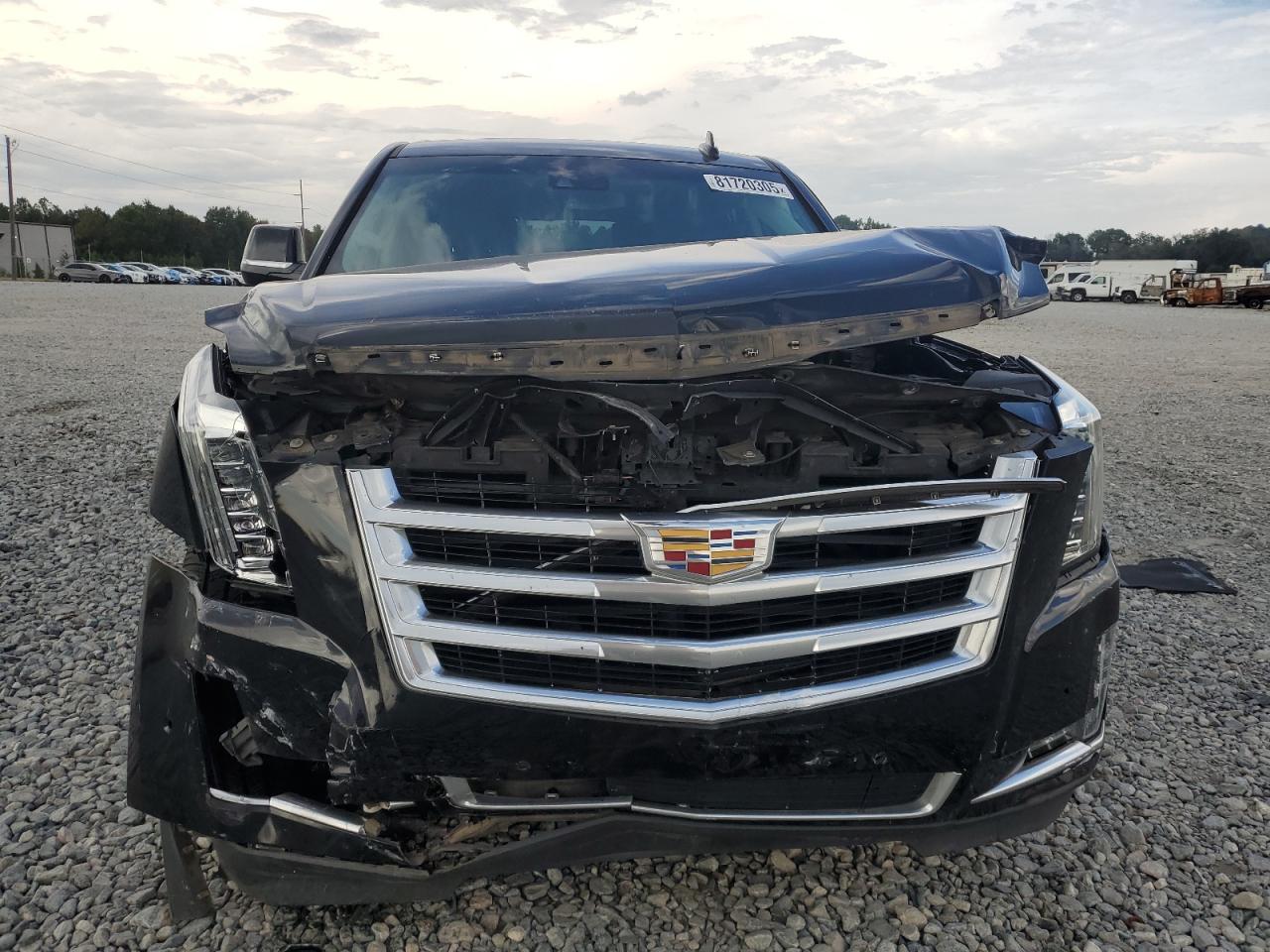 2019 CADILLAC ESCALADE ESV LUXURY photo 9