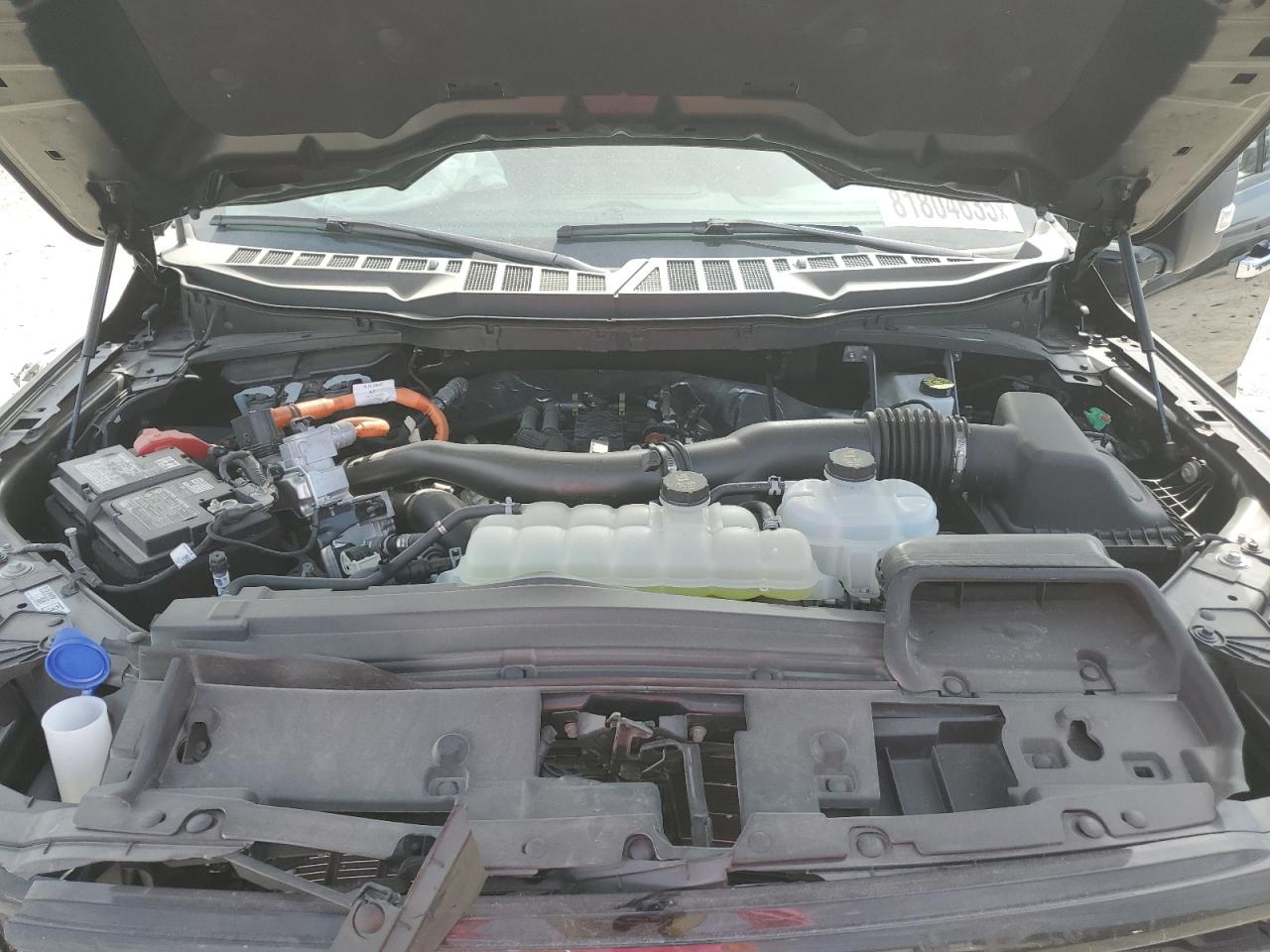 2025 FORD F150 XLT photo 11