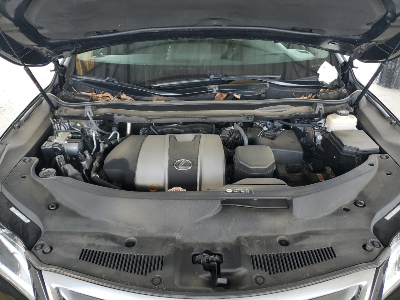 2017 LEXUS RX 350 BASE photo 12