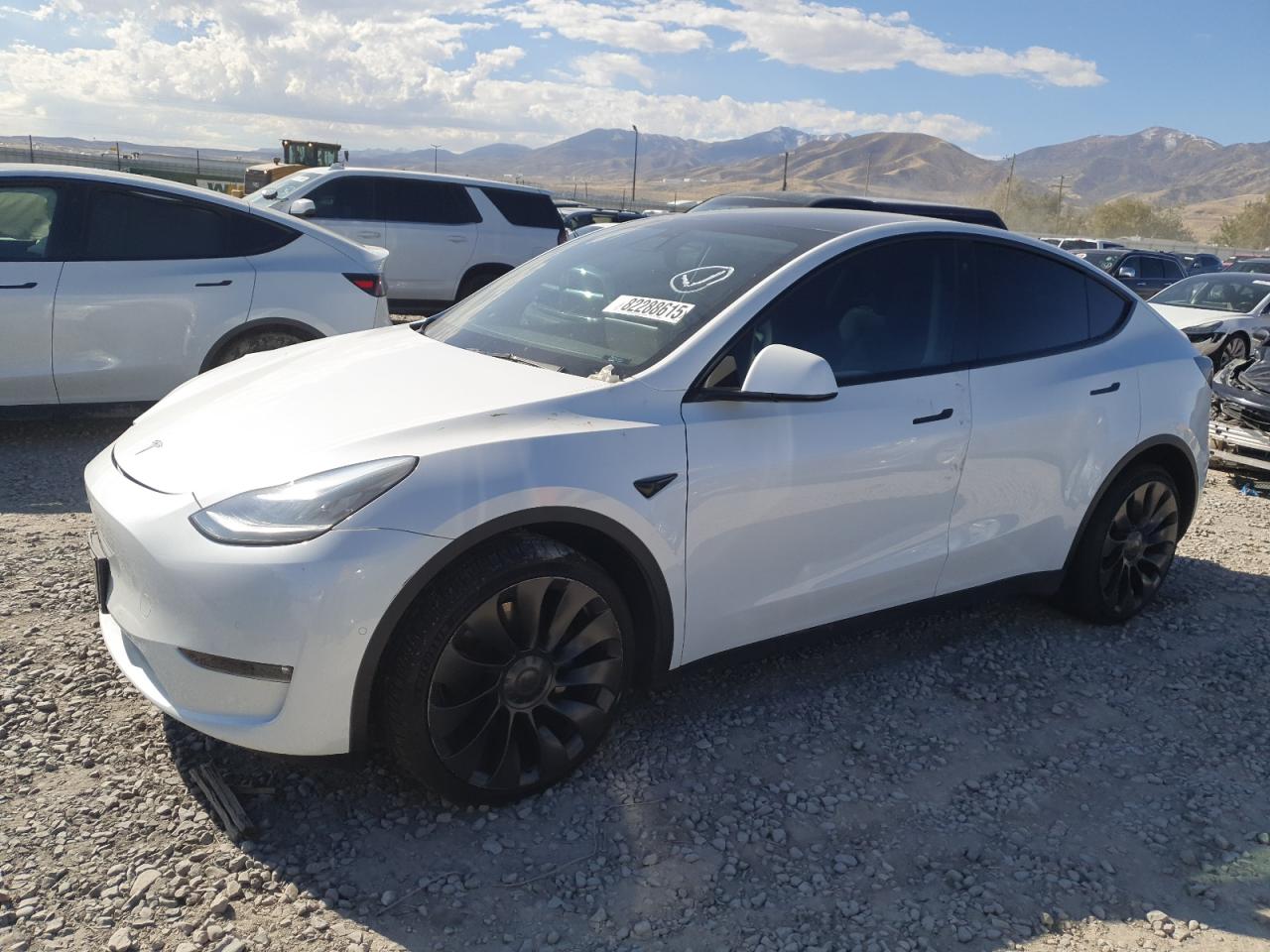 2021 TESLA MODEL Y