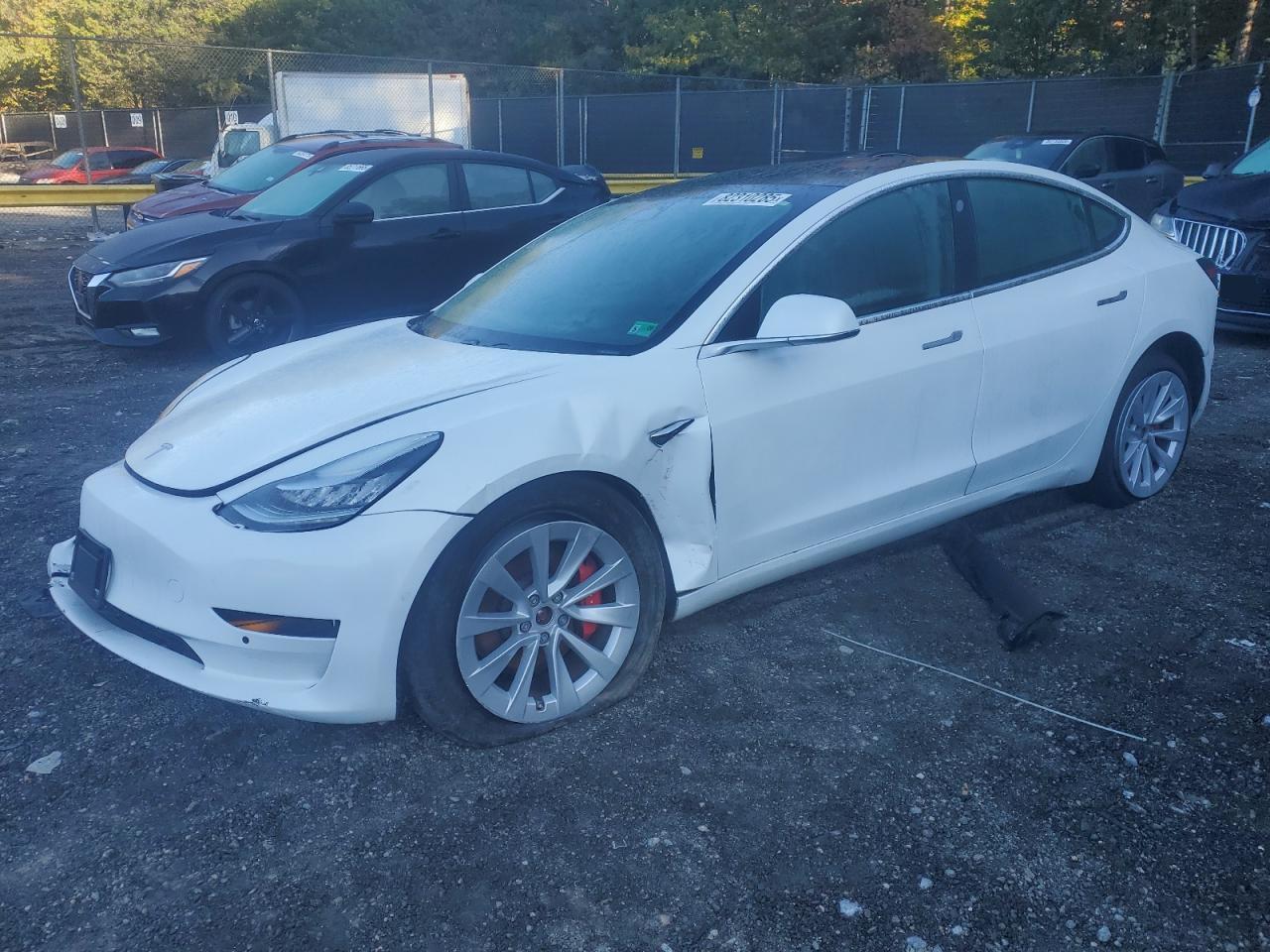 2019 TESLA MODEL 3