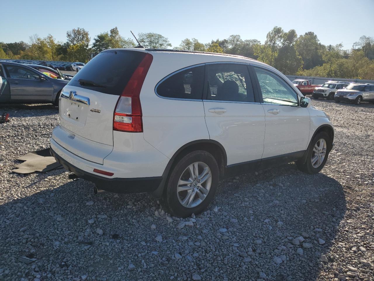 2010 HONDA CR-V EXL photo 5