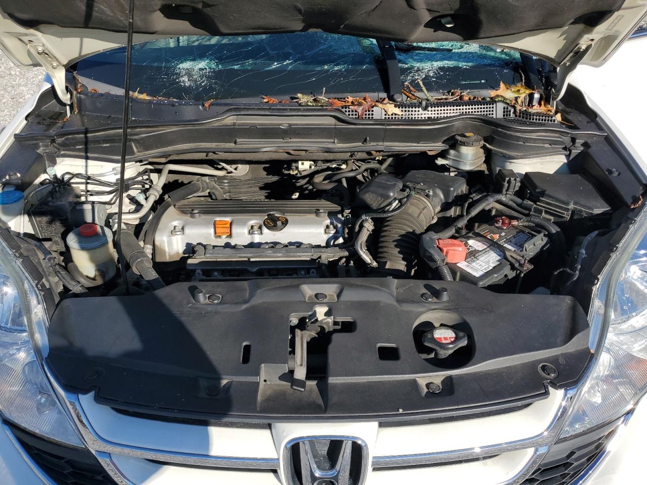 2010 HONDA CR-V EXL photo 23