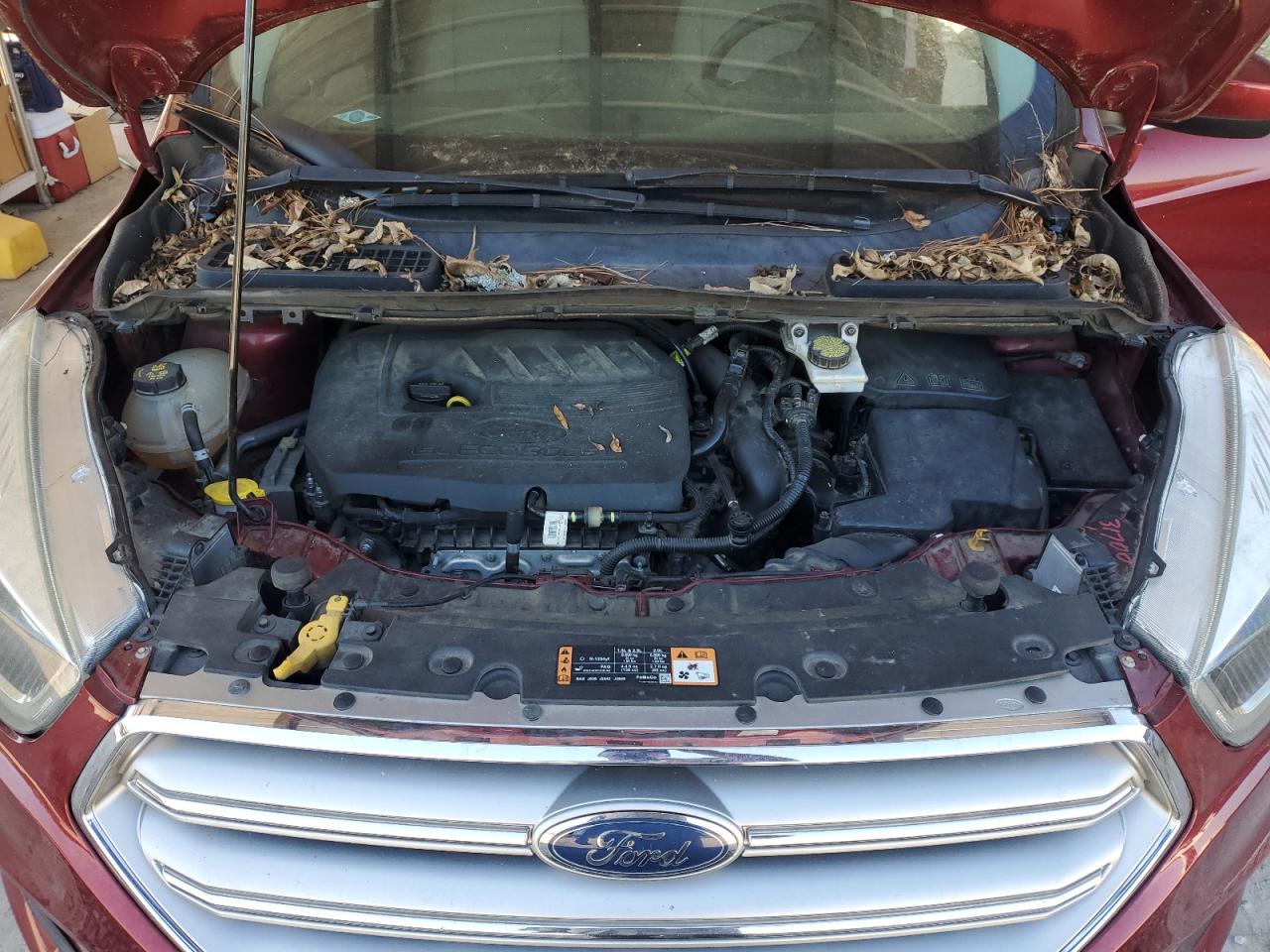 2017 FORD ESCAPE SE photo 11