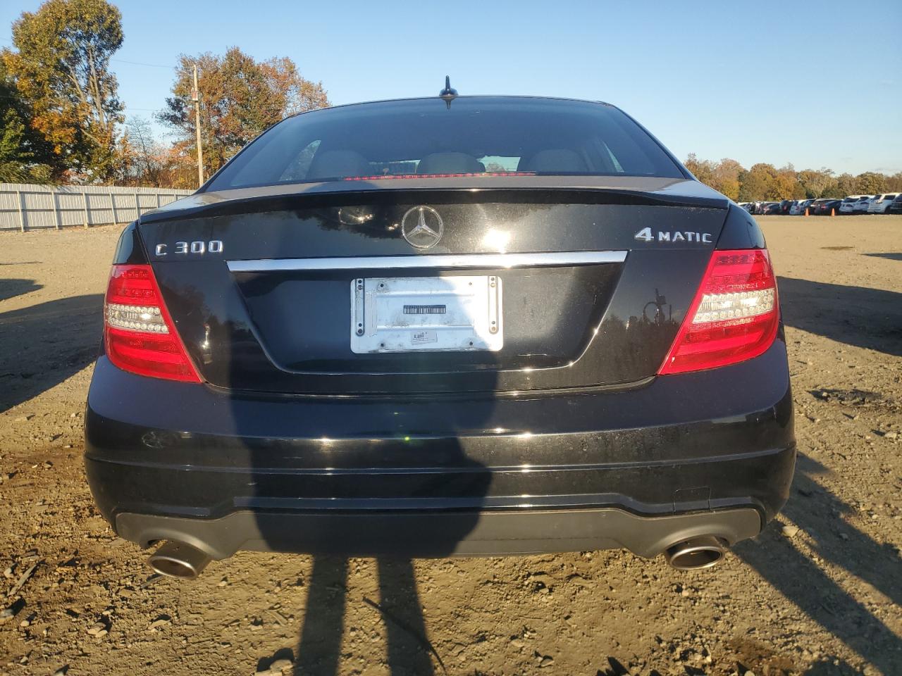 2013 MERCEDES-BENZ C 300 4MATIC photo 6
