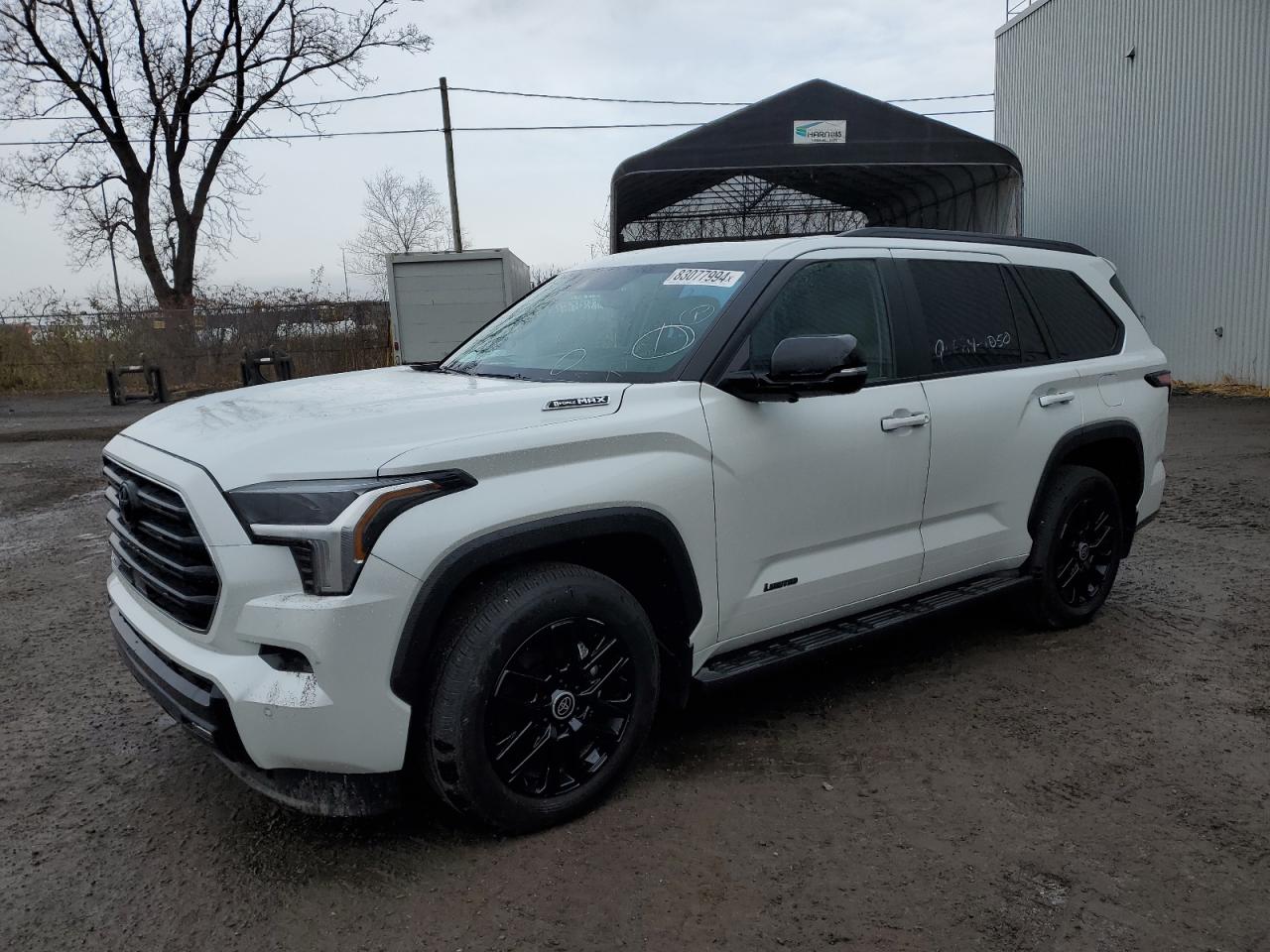 2024 TOYOTA SEQUOIA