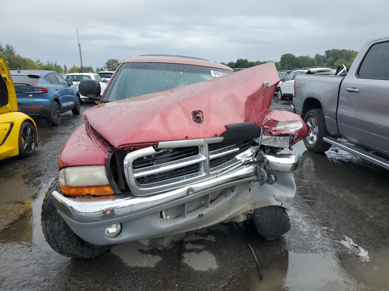 1999 DODGE DAKOTA photo 9