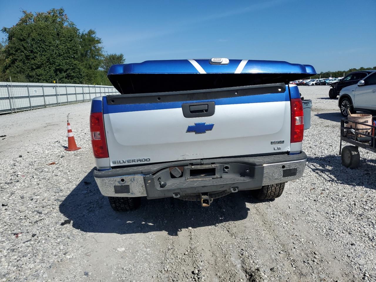 2010 CHEVROLET SILVERADO C1500 LS photo 11