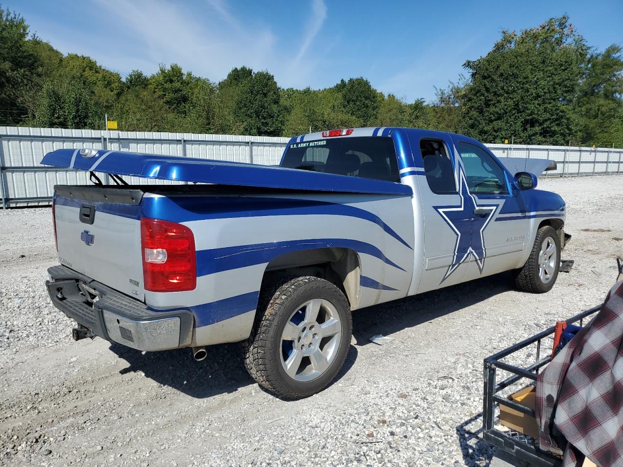 2010 CHEVROLET SILVERADO C1500 LS photo 5
