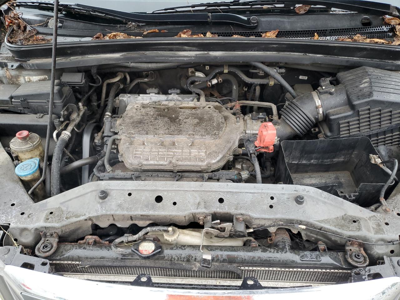2007 HONDA ODYSSEY EXL photo 12