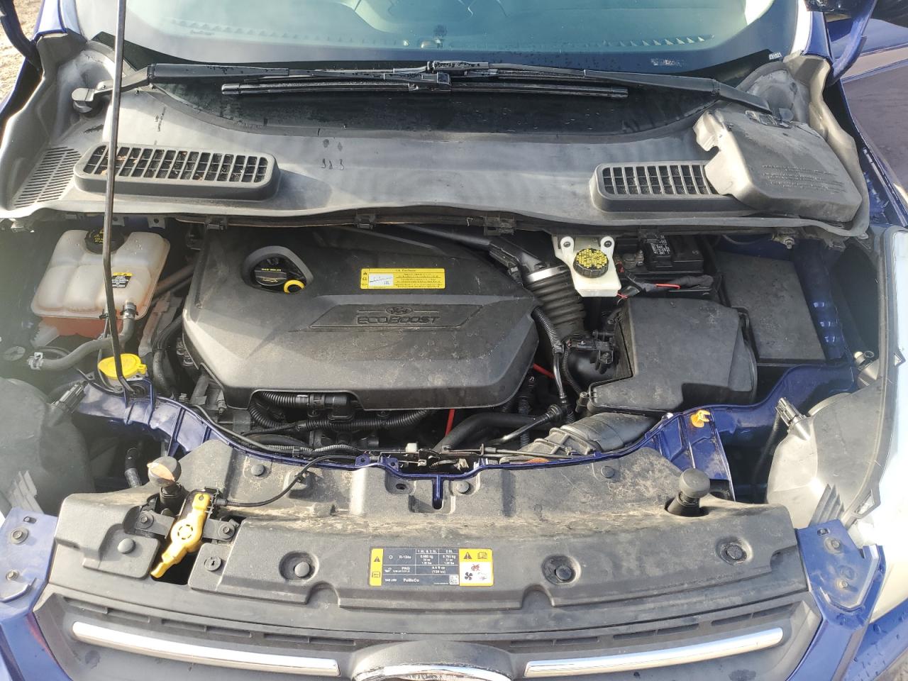 2013 FORD ESCAPE SE photo 12