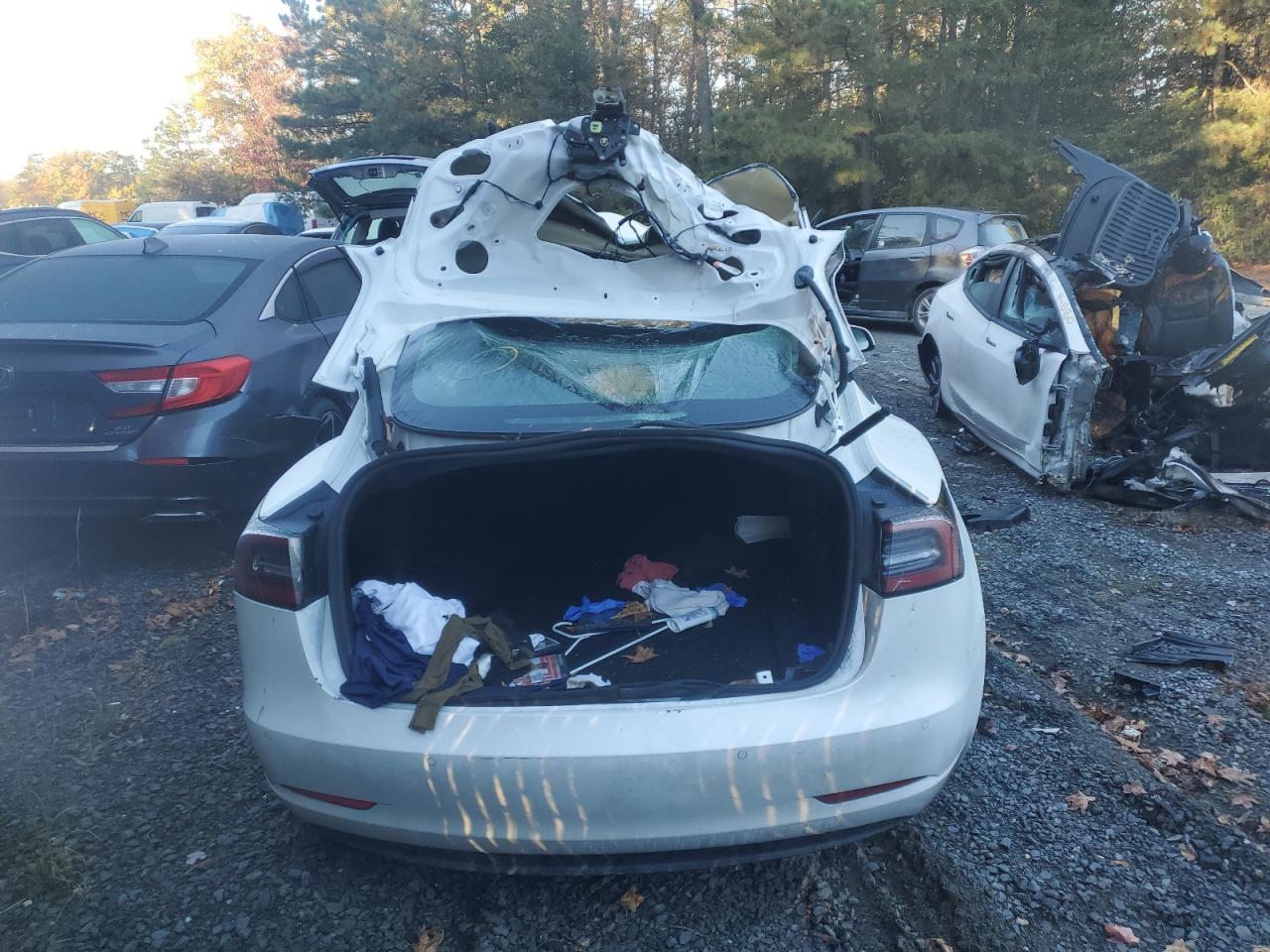 2021 TESLA MODEL 3 photo 16