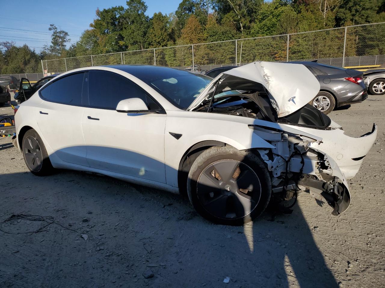 2021 TESLA MODEL 3 photo 10