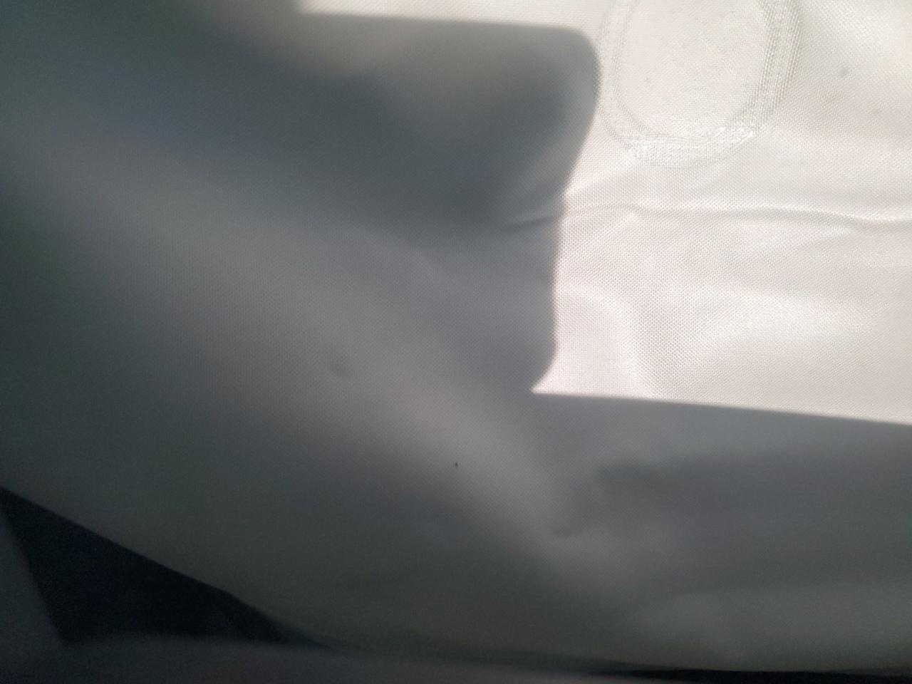 2021 TESLA MODEL 3 photo 28