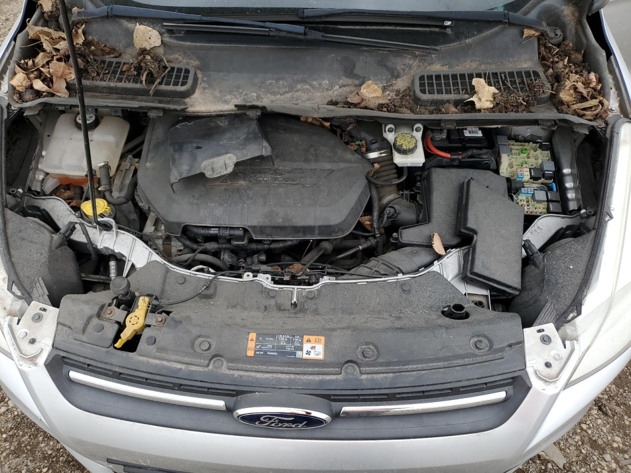 2014 FORD ESCAPE SE photo 12
