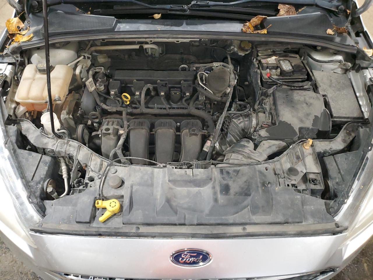 2015 FORD FOCUS SE photo 11