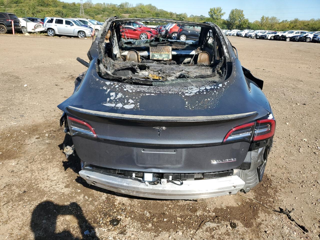 2021 TESLA MODEL 3 photo 16