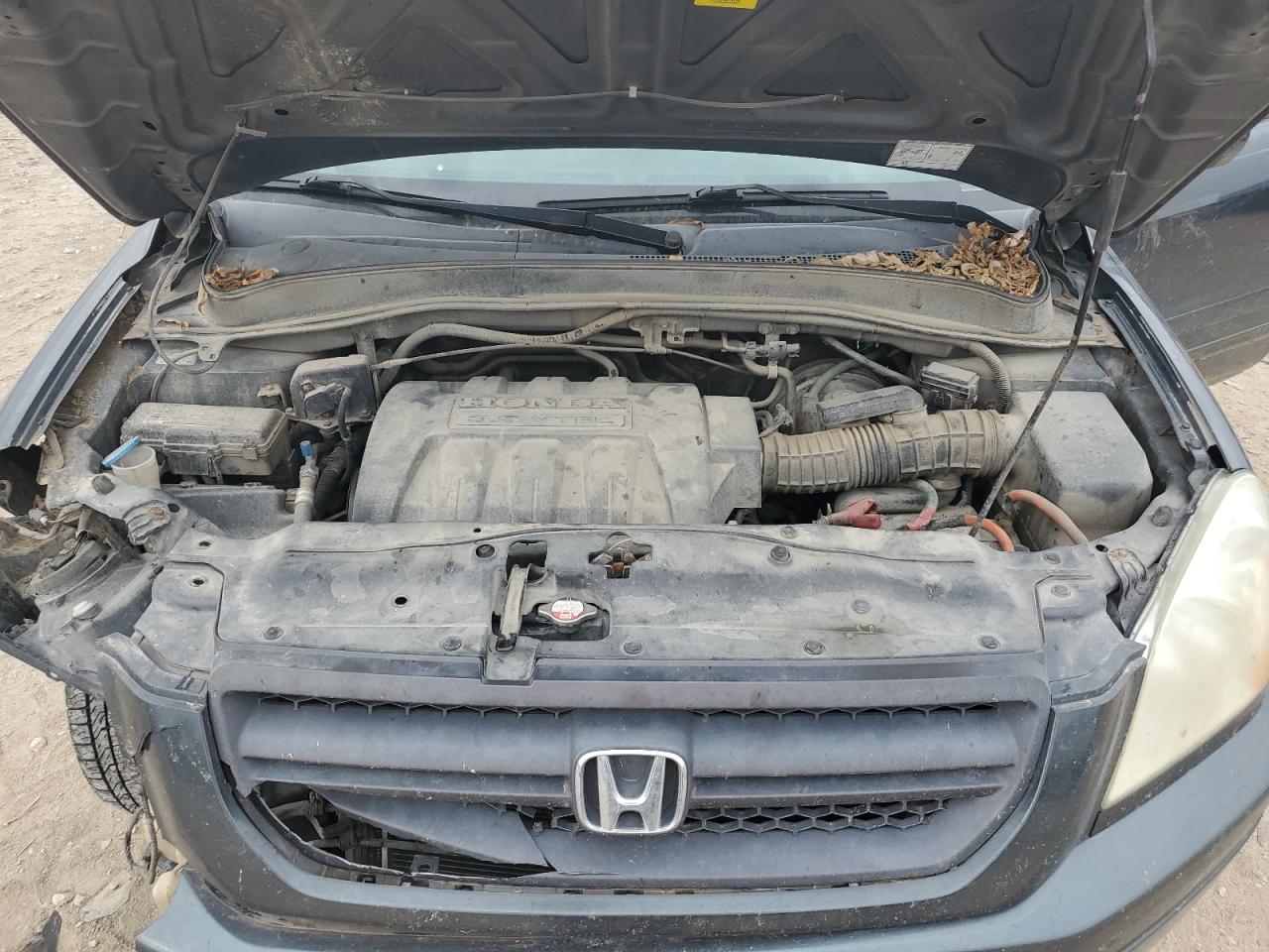 2005 HONDA PILOT EX photo 12