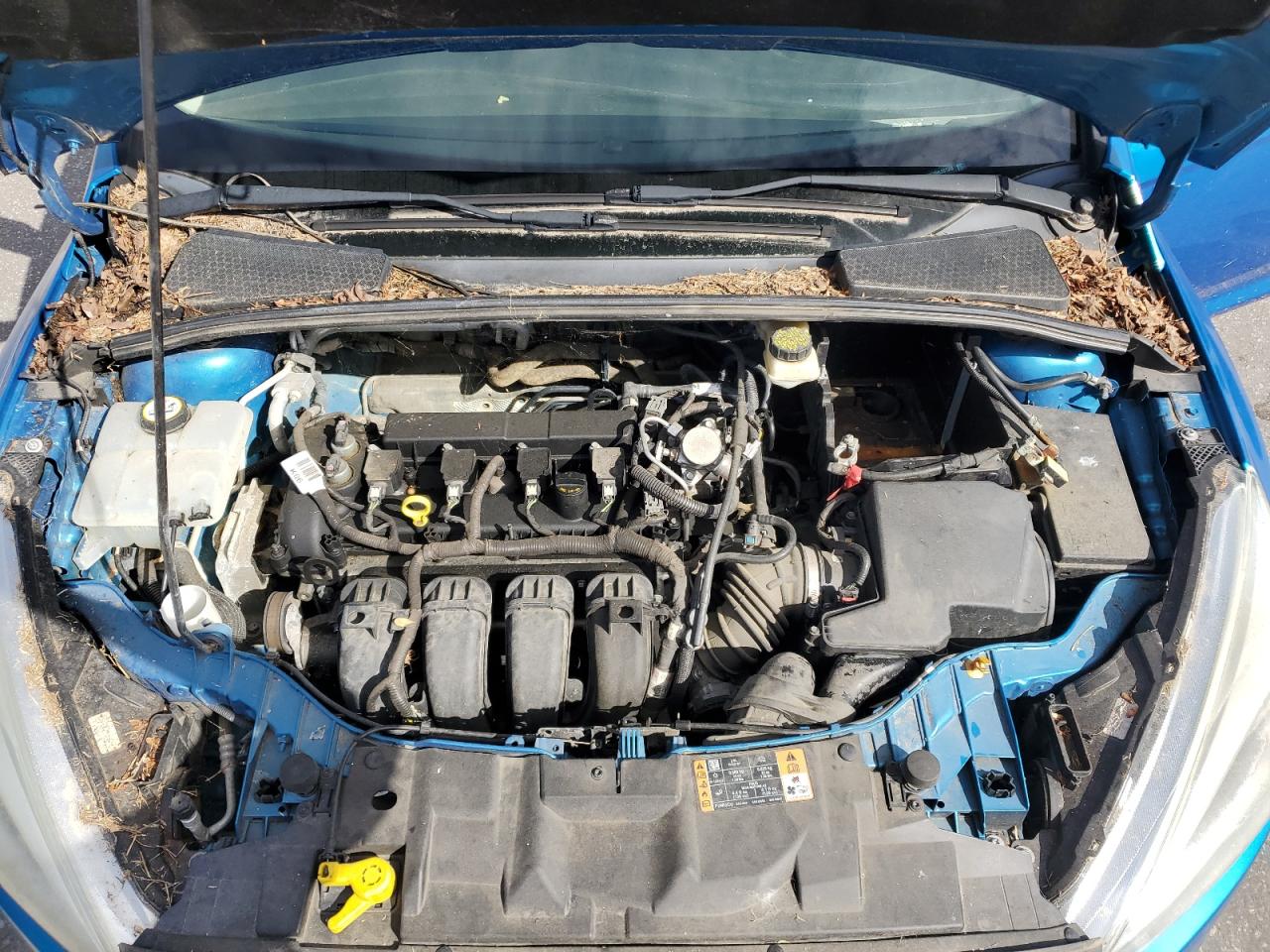 2017 FORD FOCUS SE photo 31