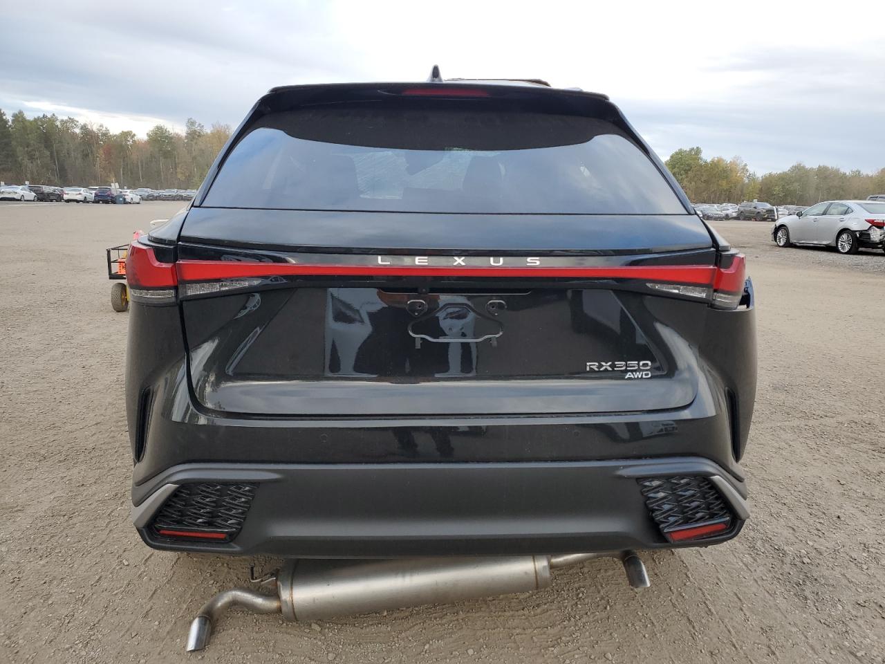 2025 LEXUS RX 350 BASE photo 11