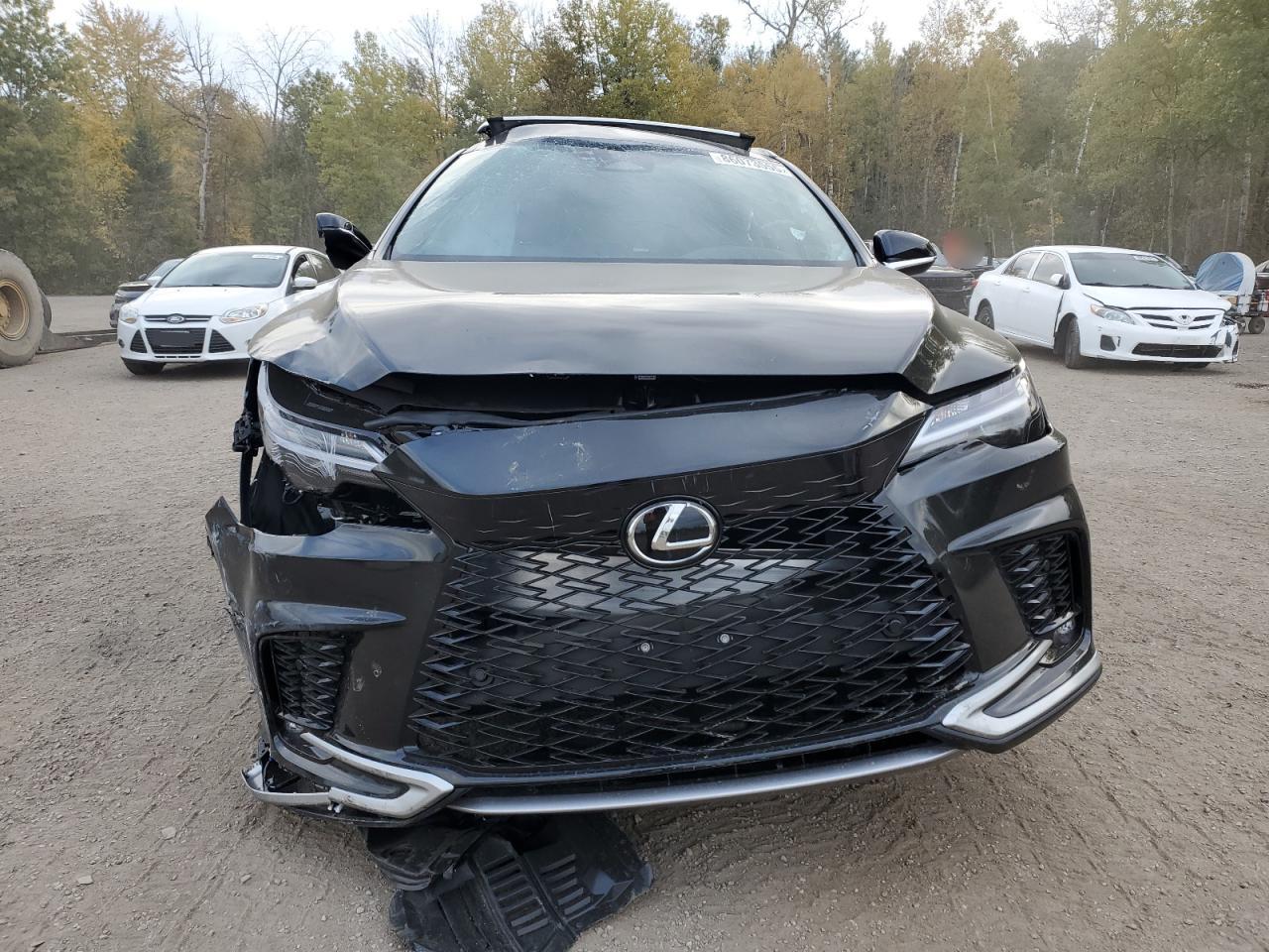 2025 LEXUS RX 350 BASE photo 9