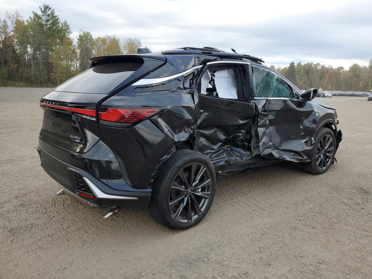 2025 LEXUS RX 350 BASE photo 5