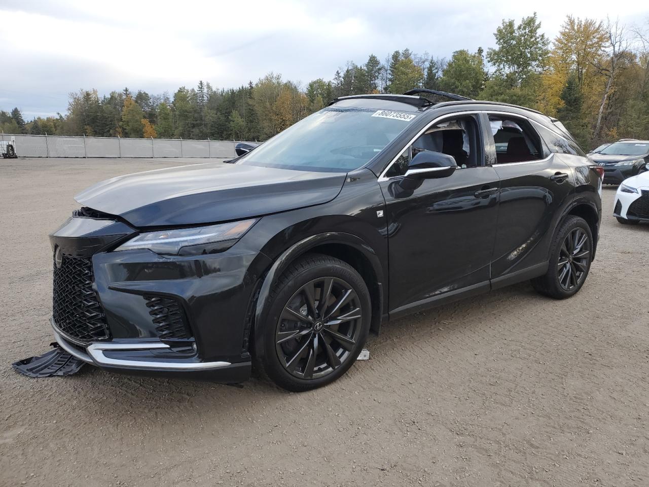 2025 LEXUS RX