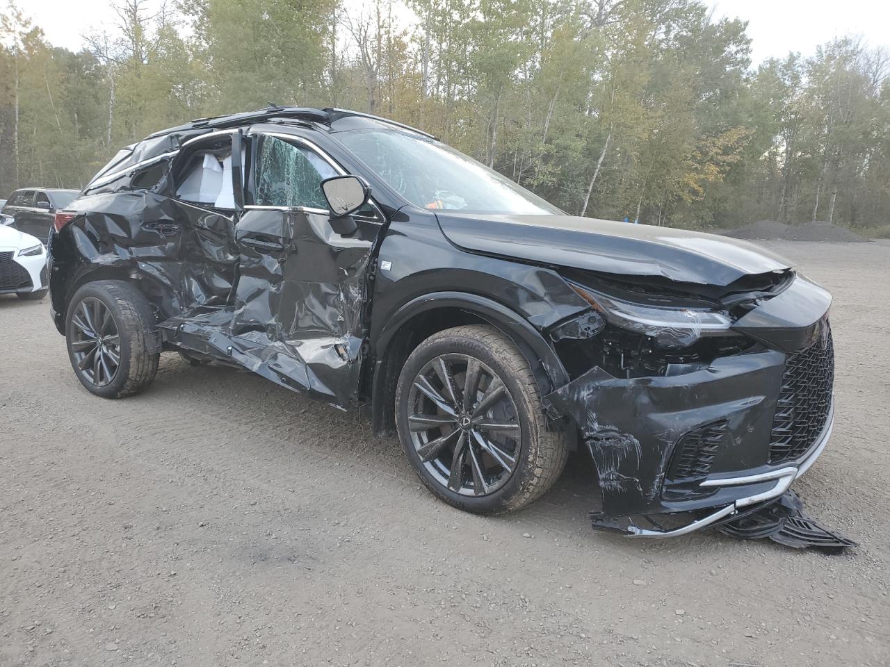 2025 LEXUS RX 350 BASE photo 7