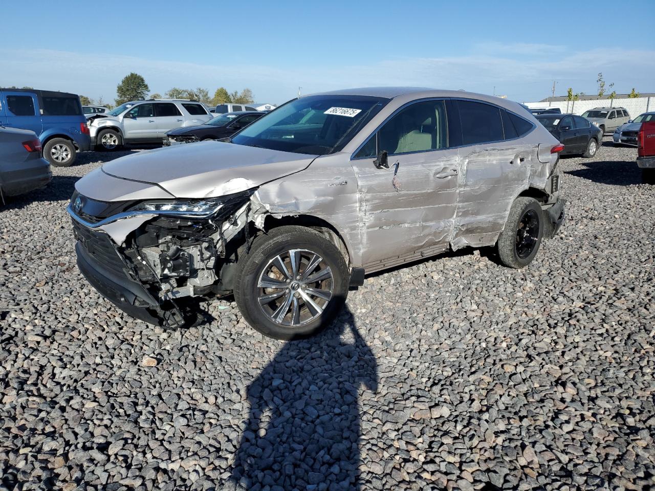2021 TOYOTA VENZA