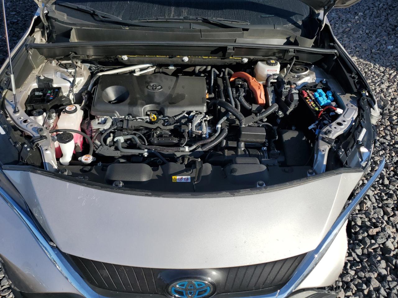 2021 TOYOTA VENZA LE photo 34