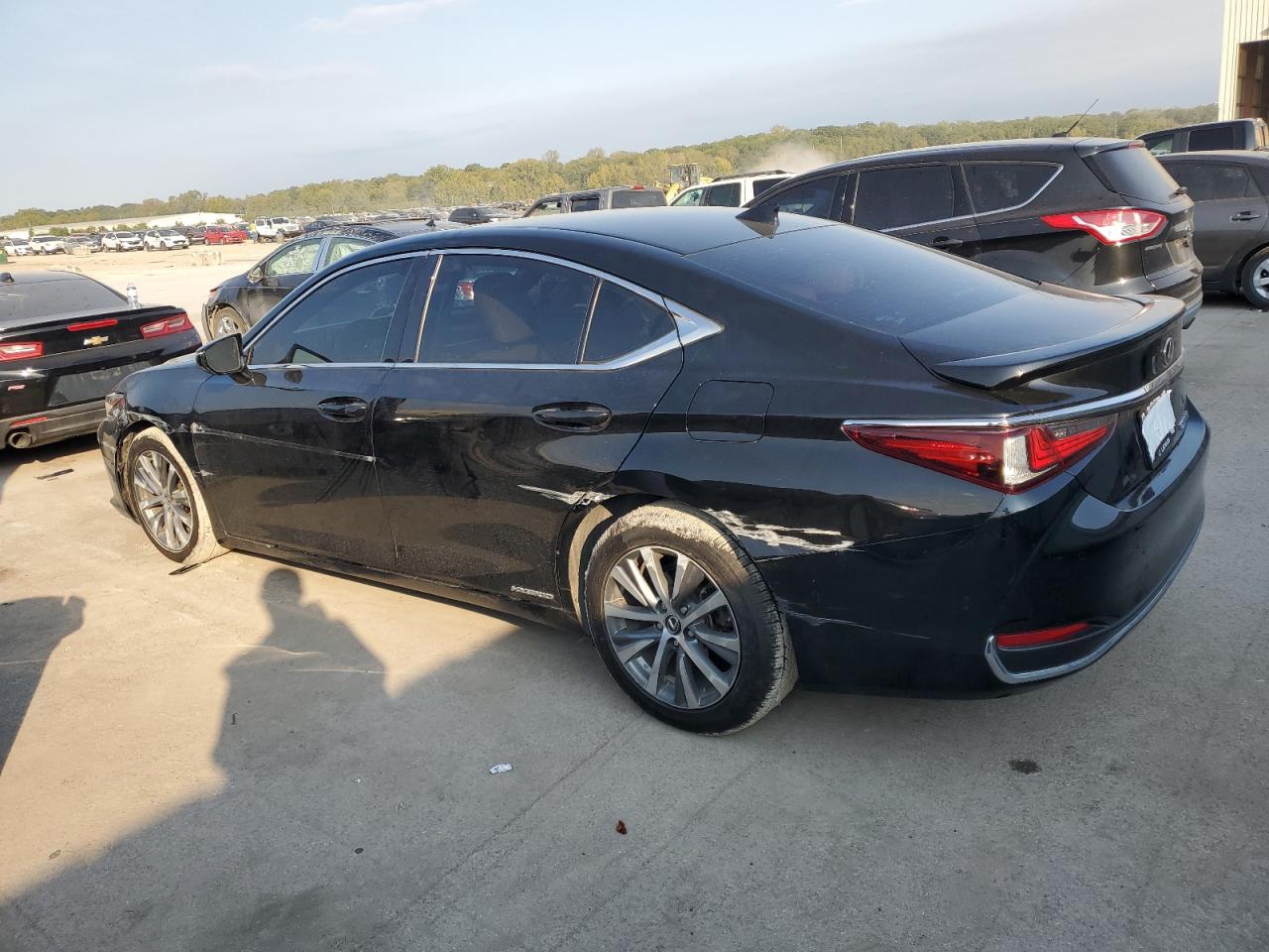 2020 LEXUS ES 300H photo 2