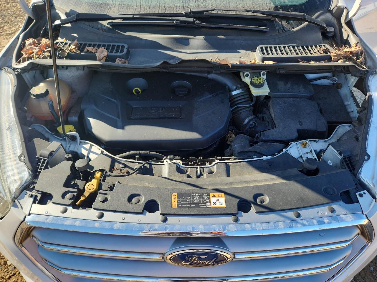 2017 FORD ESCAPE SE photo 34