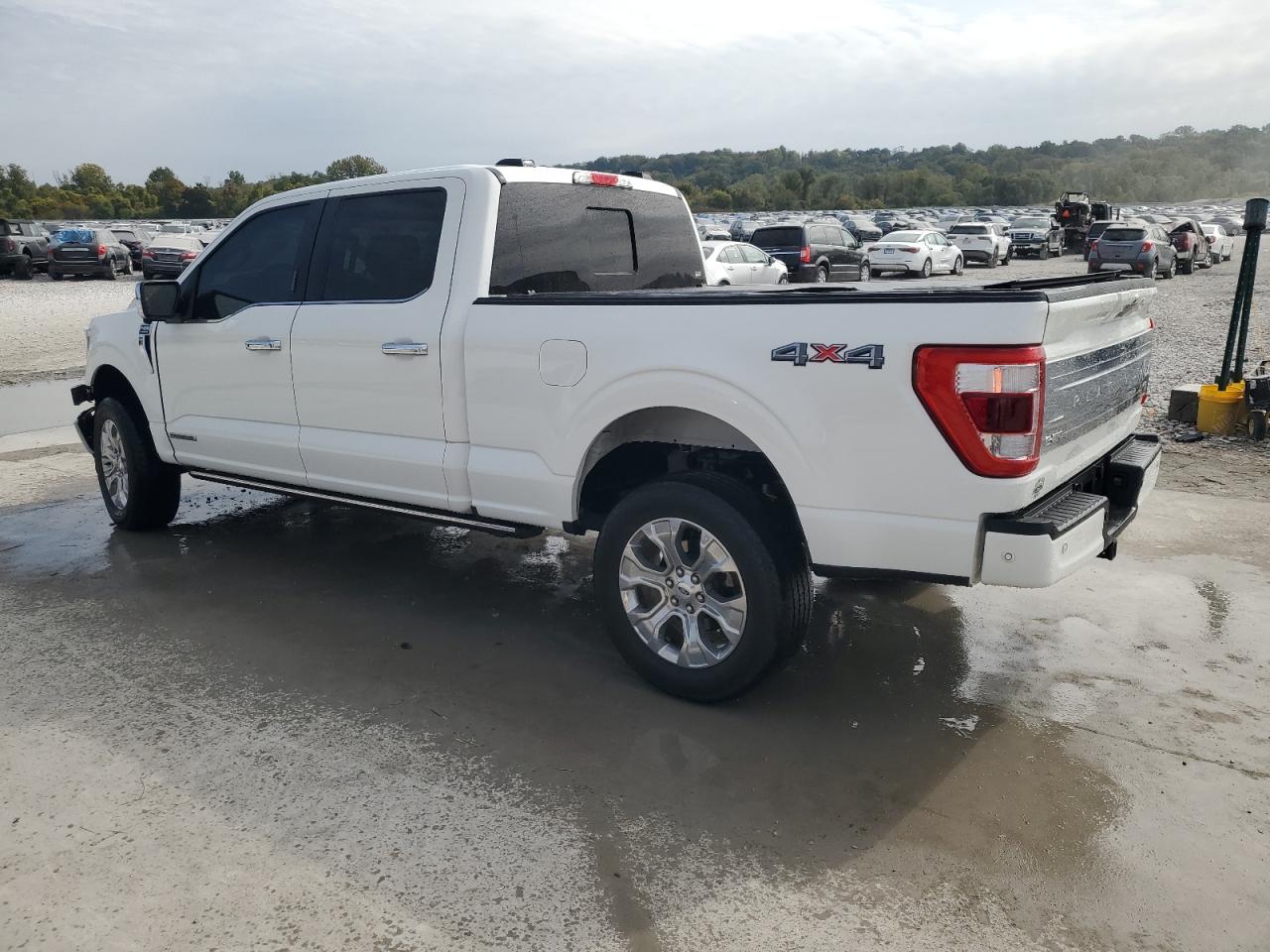 2023 FORD F150 SUPERCREW photo 2