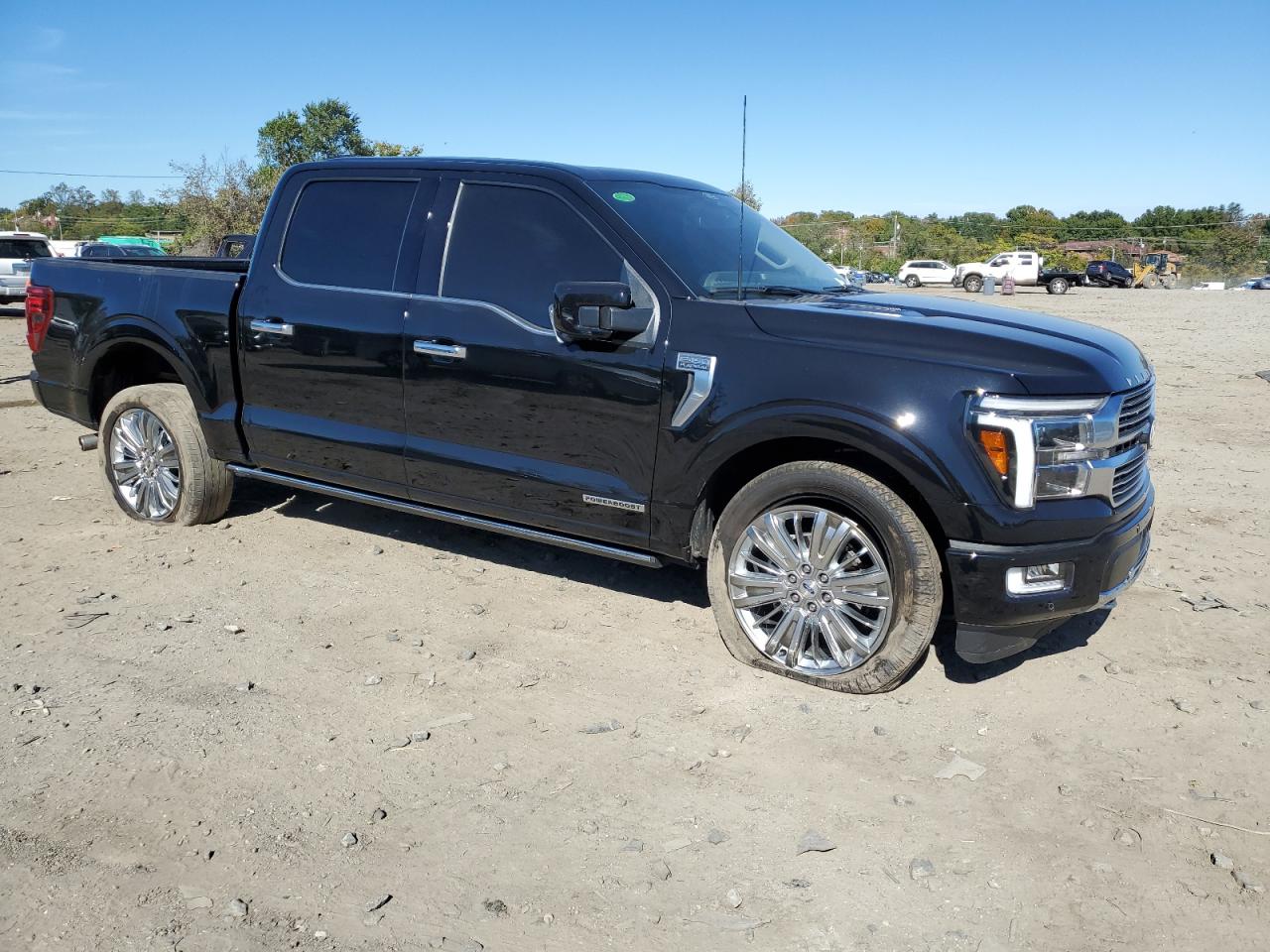 2024 FORD F150 PLATINUM photo 7